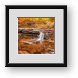 Buy Framed Print