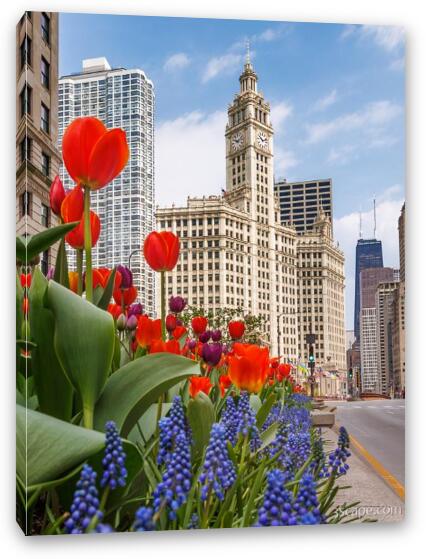 Spring Flowers Along Michigan Ave Chicago Fine Art Canvas Print