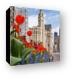 Spring Flowers Along Michigan Ave Chicago Canvas Print