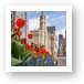 Spring Flowers Along Michigan Ave Chicago Art Print