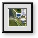 Buy Framed Print