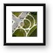 Buy Framed Print