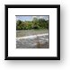 Buy Framed Print