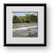 Buy Framed Print