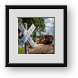 Buy Framed Print