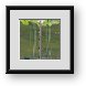 Buy Framed Print