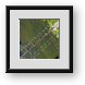 Buy Framed Print