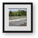 Buy Framed Print