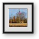 Buy Framed Print