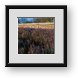 Buy Framed Print