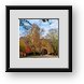 Buy Framed Print