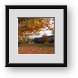 Buy Framed Print