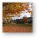 Buy Metal Print