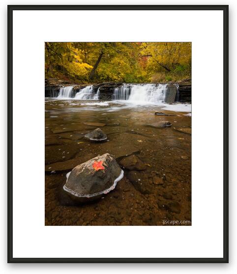 Fall Color in Waterfall Glen Framed Fine Art Print