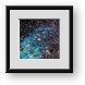 Buy Framed Print