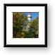 Grosse Point Lighthouse Framed Print