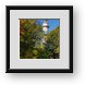 Buy Framed Print