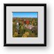 Buy Framed Print