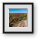 Buy Framed Print