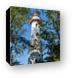 Grosse Point Lighthouse Canvas Print
