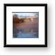 Buy Framed Print