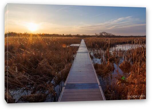 Volo Bog Boardwalk at Dawn Fine Art Canvas Print