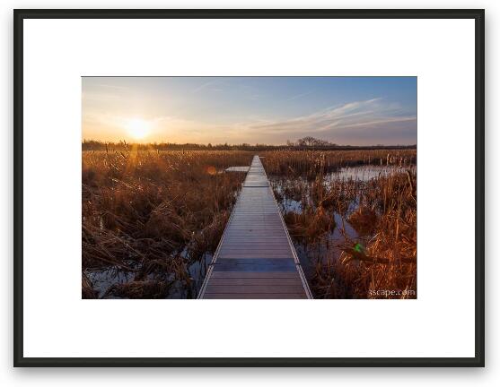 Volo Bog Boardwalk at Dawn Framed Fine Art Print