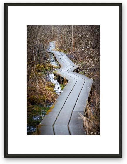 Boardwalk at Volo Bog Framed Fine Art Print