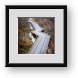 Buy Framed Print