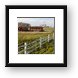 Buy Framed Print