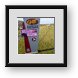 Buy Framed Print