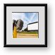 Buy Framed Print