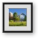 Buy Framed Print