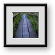 Buy Framed Print