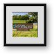 Buy Framed Print