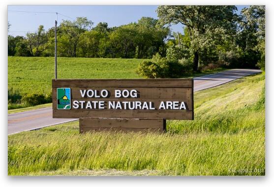 Volo Bog State Natural Area Fine Art Metal Print