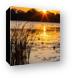 Sunset over Lily Lake Canvas Print