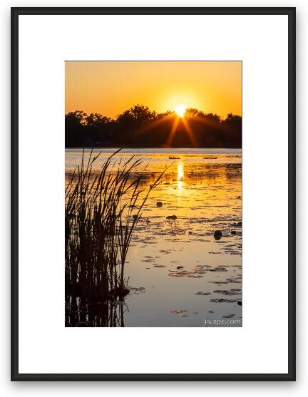 Sunset over Lily Lake Framed Fine Art Print