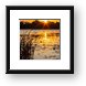 Sunset over Lily Lake Framed Print