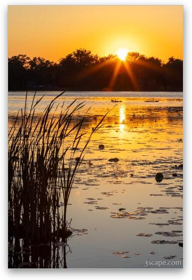 Sunset over Lily Lake Fine Art Metal Print