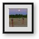 Buy Framed Print