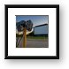 McHenry Outdoor Theater Framed Print