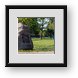 Buy Framed Print