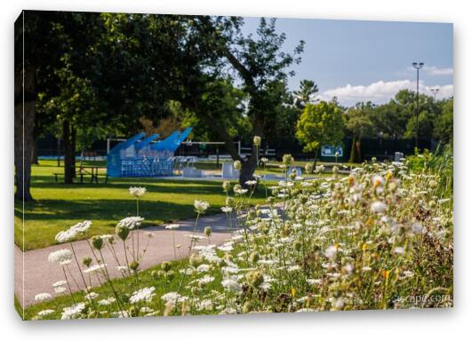 Fabbrini Park Flowers Fine Art Canvas Print