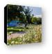 Fabbrini Park Flowers Canvas Print