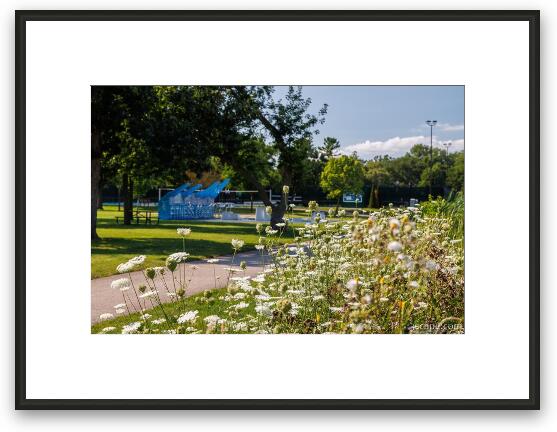 Fabbrini Park Flowers Framed Fine Art Print