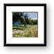 Fabbrini Park Flowers Framed Print