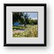 Buy Framed Print