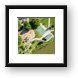 Fabbrini Park Aerial Top Down Framed Print