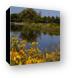 Fabbrini Park Pond Canvas Print